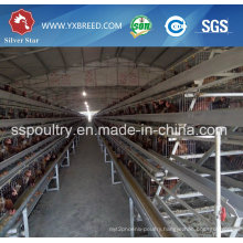 Poultry Layer Cage